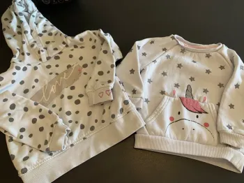 2 pull Primark taille 18/24 mois 🦄