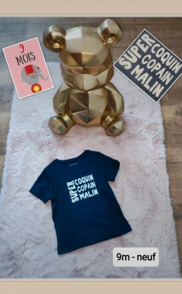 T shirt  neuf super coquin super copain super malin pat et ripaton