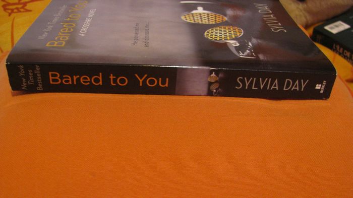 bared to you - photo numéro 4