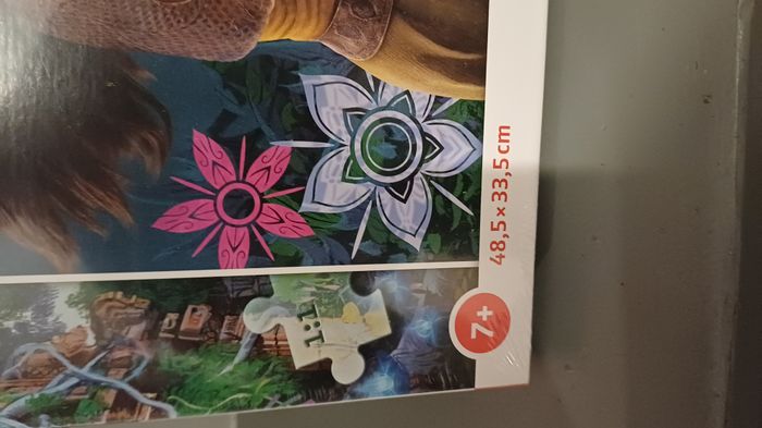 Puzzle Raya - photo numéro 4