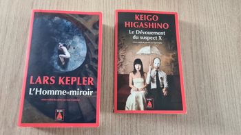 Lot 2 livres policiers Babel Noir