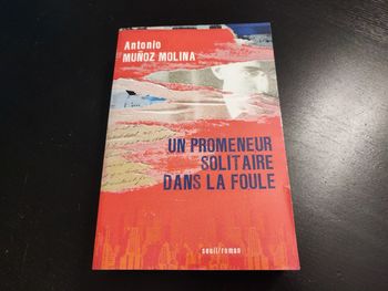 Livre Un promeneur solitaire dans la foule - 520 pages