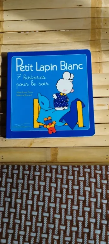 Livre Petit lapin blanc