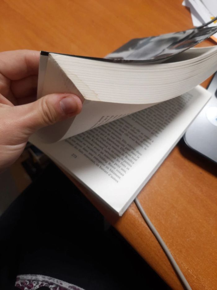 Roman seuil - photo numéro 6