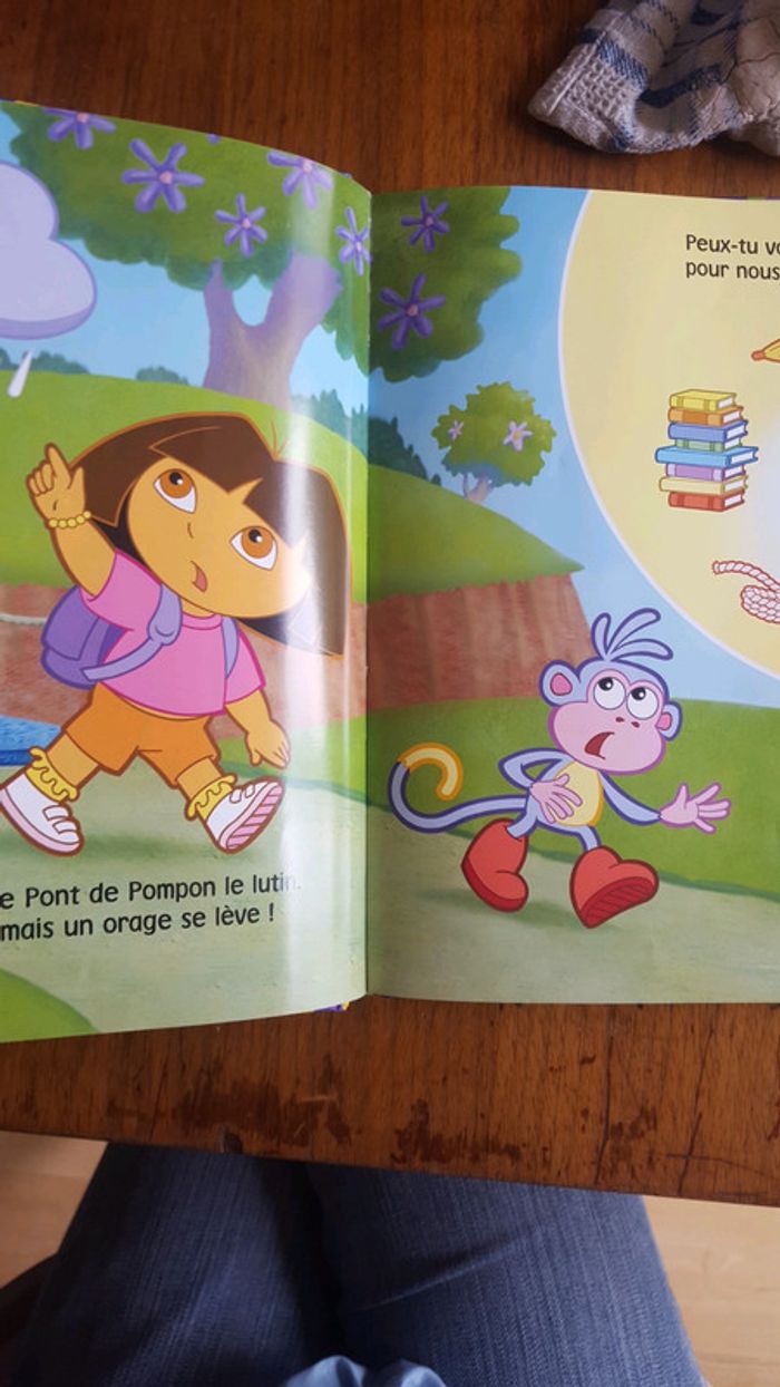 Livre Dora - photo numéro 4