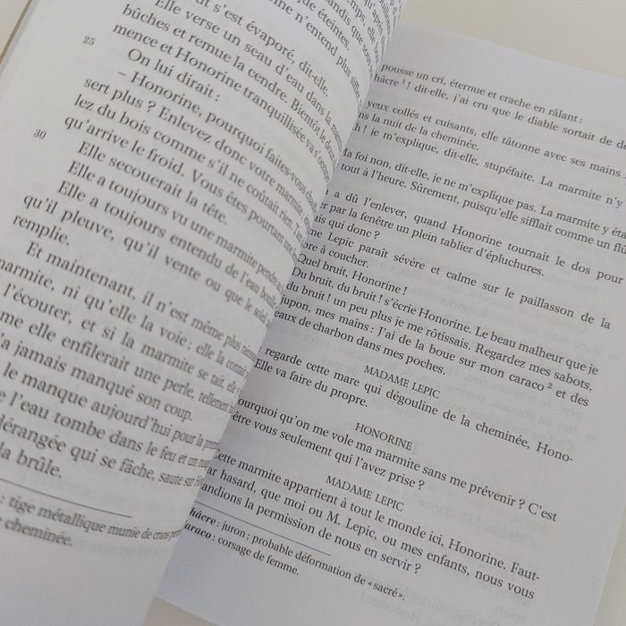 Poil de Carotte - photo numéro 4