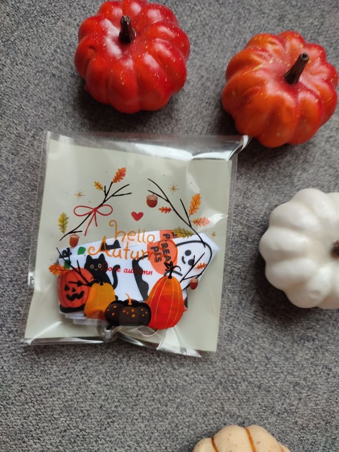 Boo basket - photo numéro 6