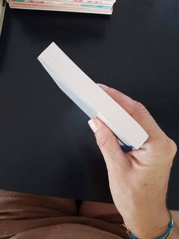 Mes amis mes amours - Marc Levy - photo numéro 4