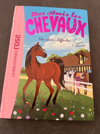 Livre bibliothèque rose mes amis les chevaux tome 3