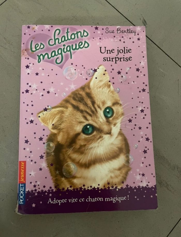 Lot livres Les chatons magiques - photo numéro 6