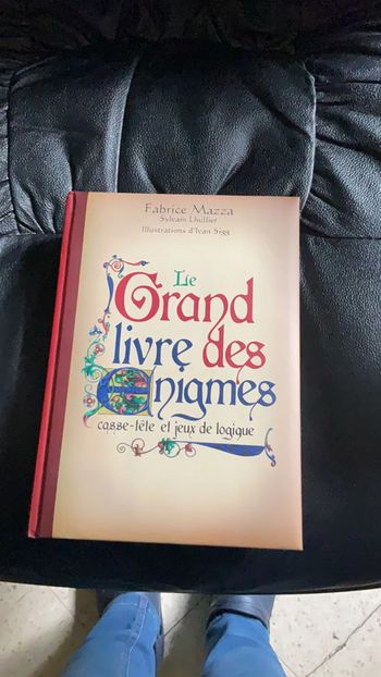 Le grand livre des énigmes (n°20)