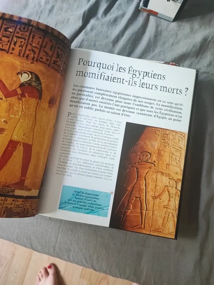 Lot livres passion de l'Égypte - photo numéro 4
