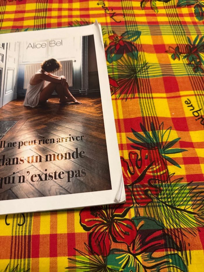 Llvre il ne peut rien arriver dans un monde qui n’existe pas - Alice bel - photo numéro 2