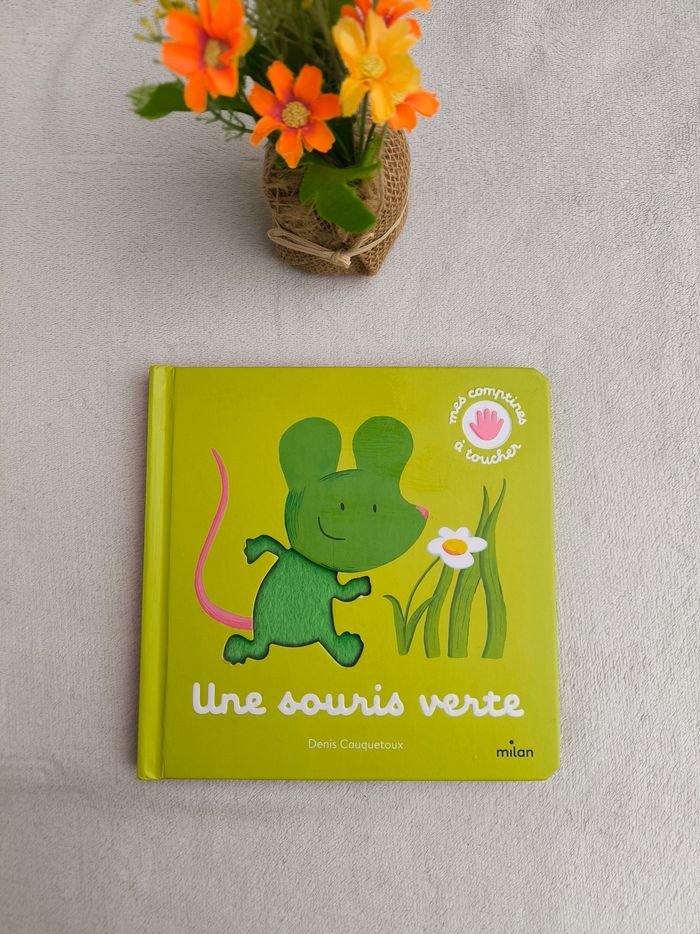 Livre Une souris verte Milan
