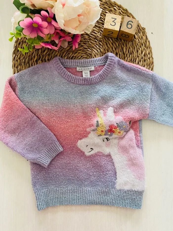 Pull licorne