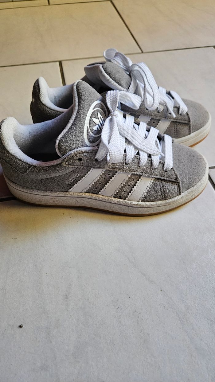 Adidas campus grises