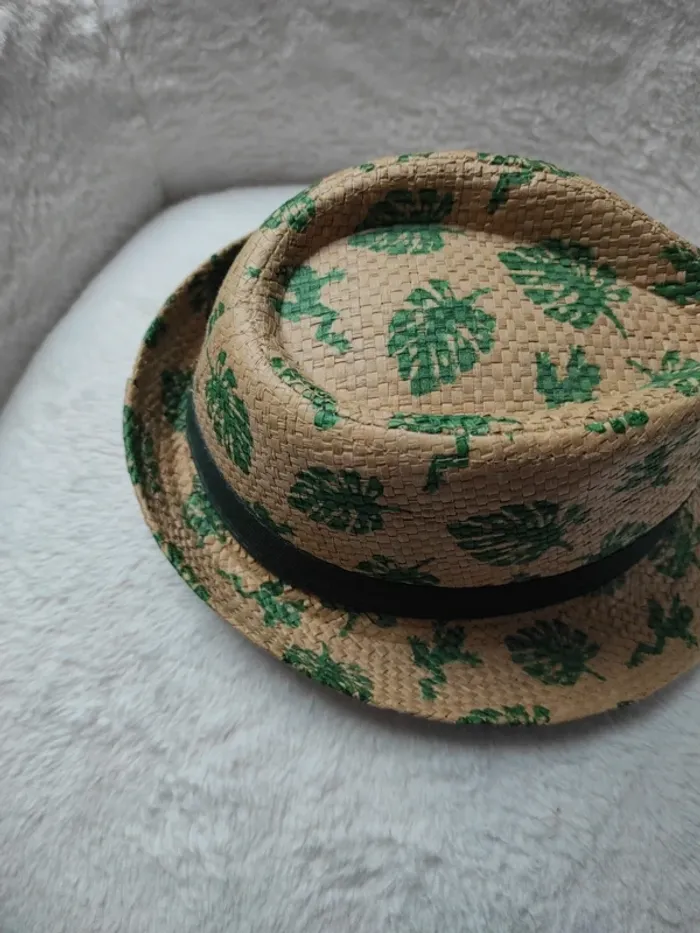 Chapeau - photo numéro 3