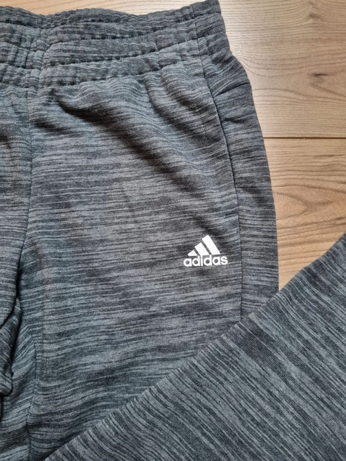 jogging gris adidas - photo numéro 2