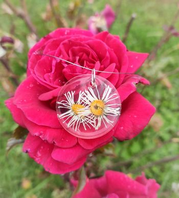Collier fleurs marguerite