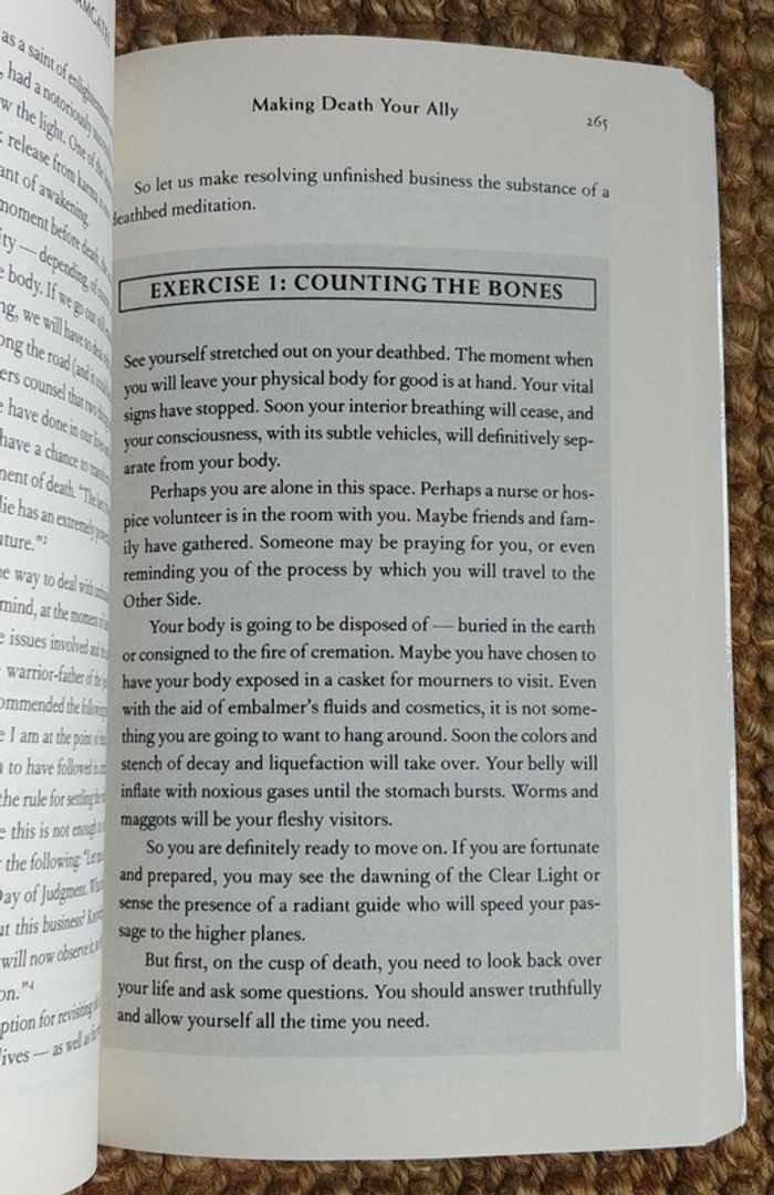 Dreamgates de Robert Moss (2010) - photo numéro 15