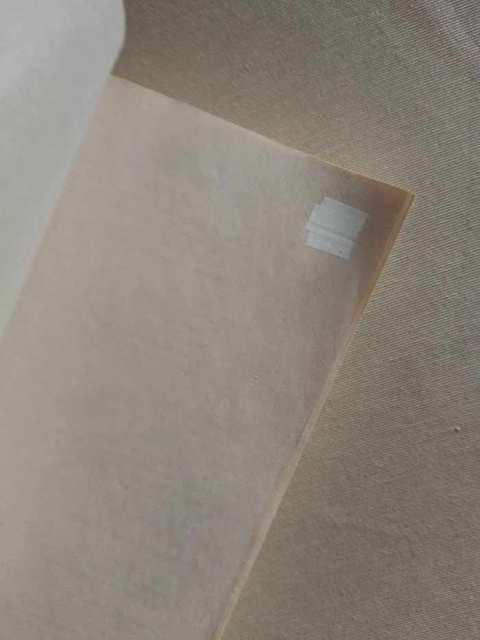 Livre : Riley - photo numéro 8