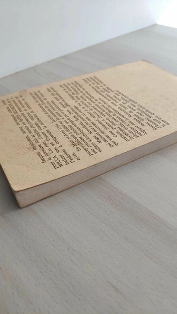 Grand livre de la sorcellerie et de la Wicca Rubinstein Bersez - photo numéro 2