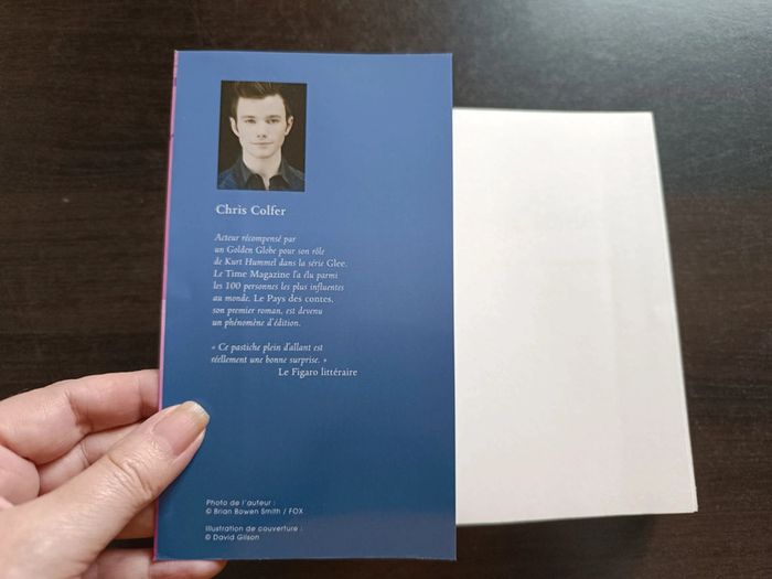 Livre LE PAYS DES CONTES: LE RETOUR DE L'ENCHANTERESSE - photo numéro 2