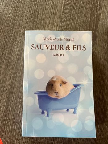 Livre sauveur&fils