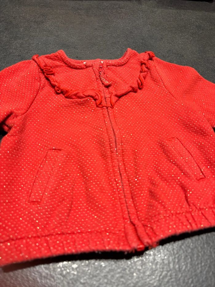 Gilet zippé - photo numéro 2
