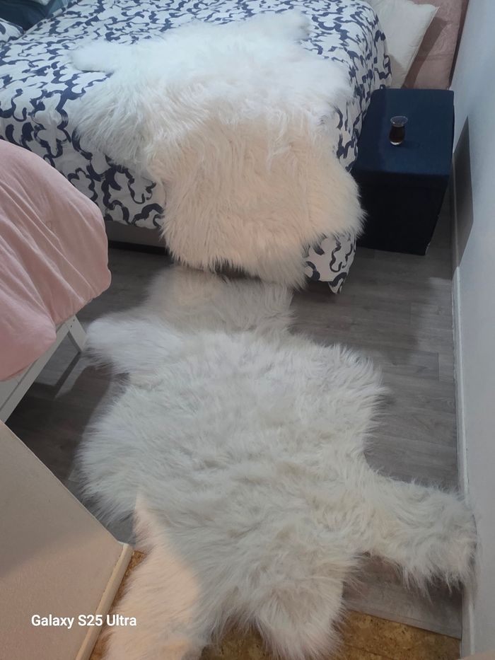 Tapis - photo numéro 3