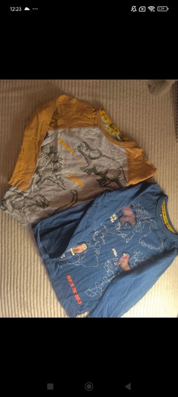 Lot t-shirt manche longue et pulls 