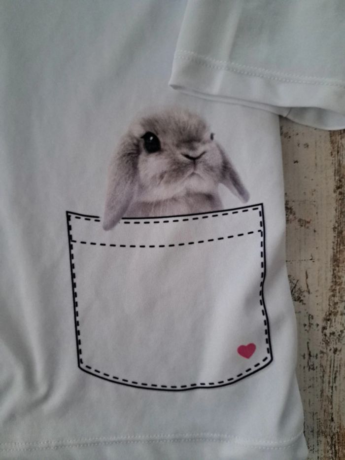 Haut veterinaire  little petvet - photo numéro 2