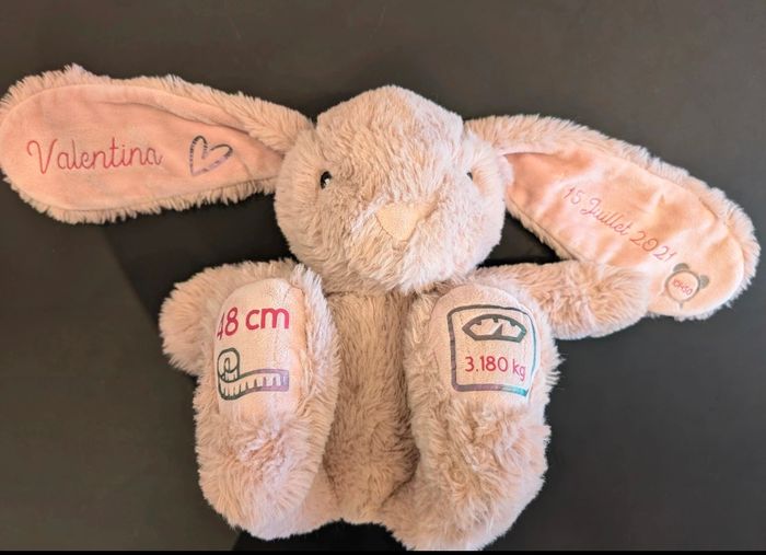 Lapin personnalisé - photo numéro 2