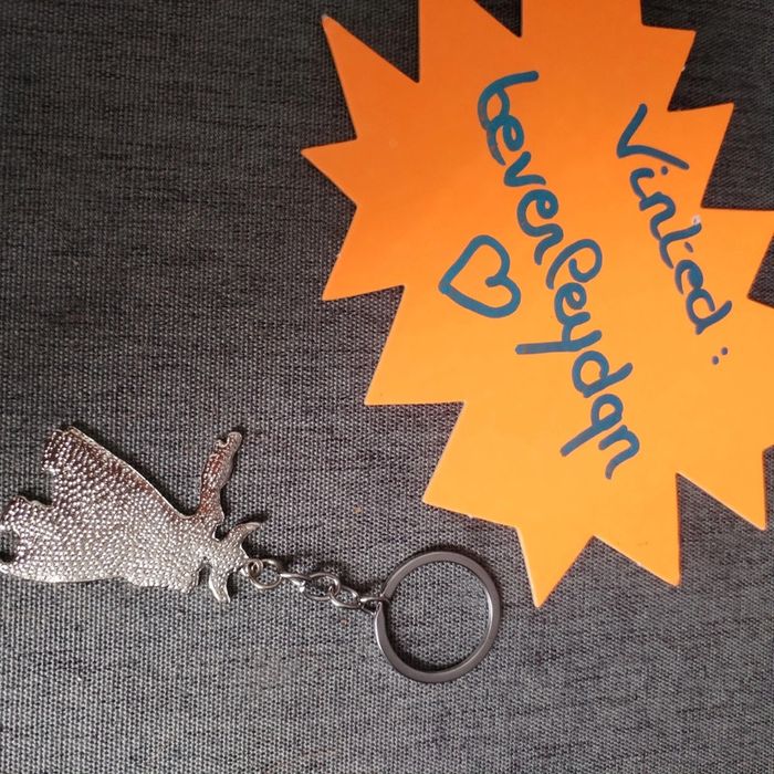 đ€Porte clĂ© Goldorak đ€ - photo numĂ©ro 2