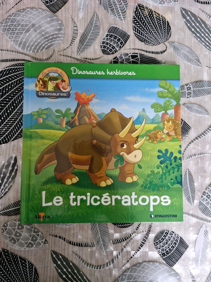 Livre enfant - photo numéro 1