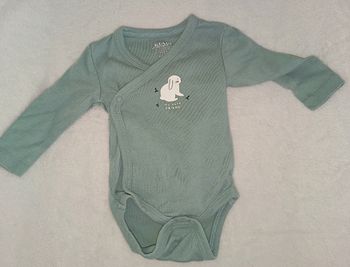 Lot 3 bodies
