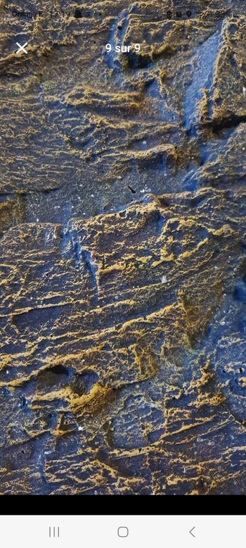 Accessoires reptiles