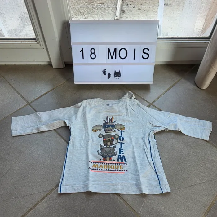 Lot vêtements 18 mois - photo numéro 5