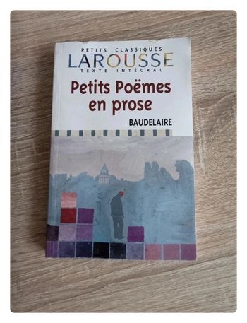 Petit poème en prose