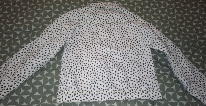 Veste - photo numéro 3