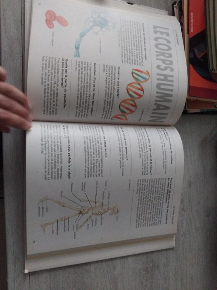 1001 questions et réponses - photo numéro 7