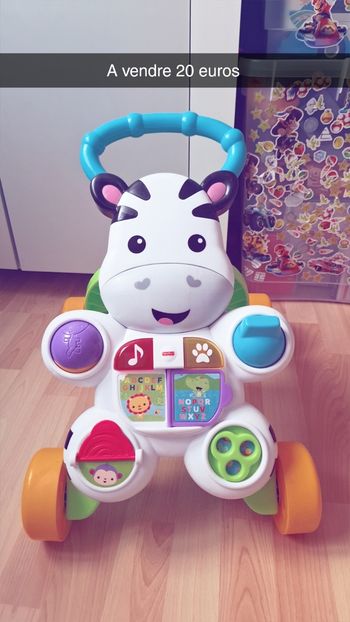 Pousse pousse zebre