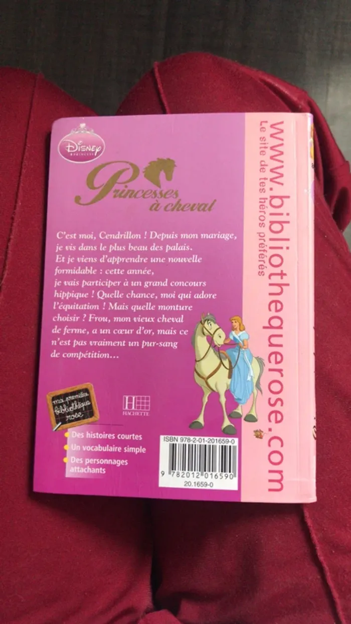 Livre Disney - photo numéro 2