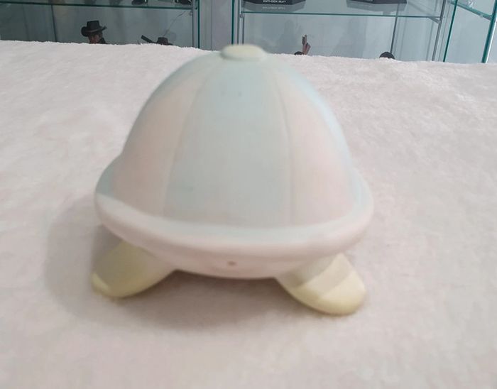 Tortue qui pouette - photo numéro 4