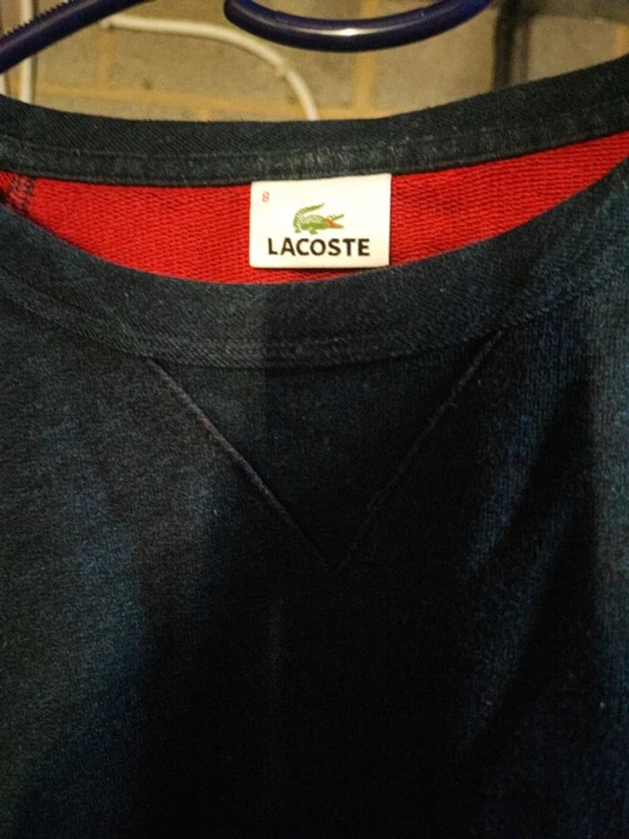 Pull Lacoste 3XL 100% coton - photo numéro 2
