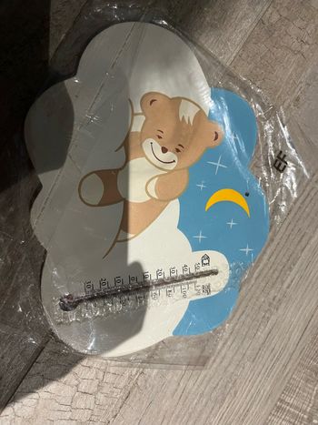 Thermomètre a accrocher