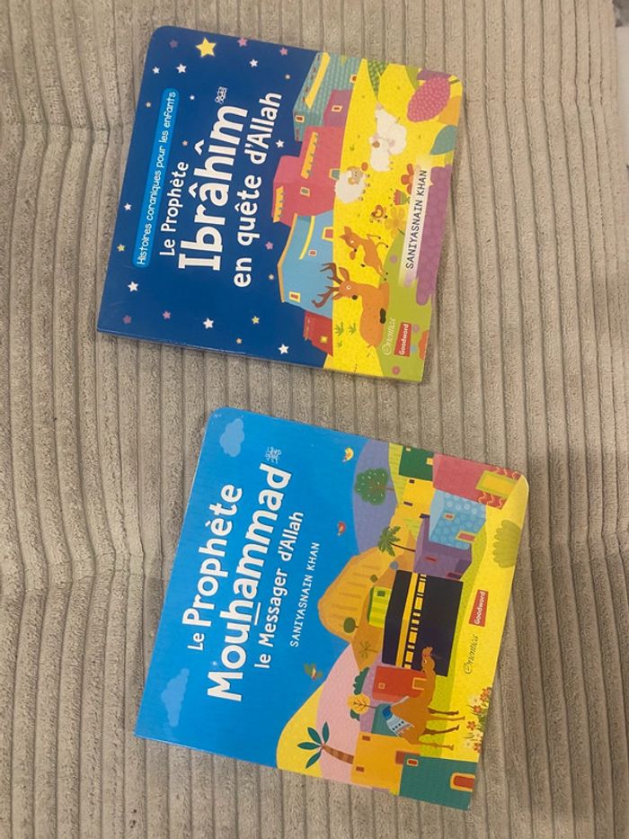 Lot de deux livres prophétiques enfant