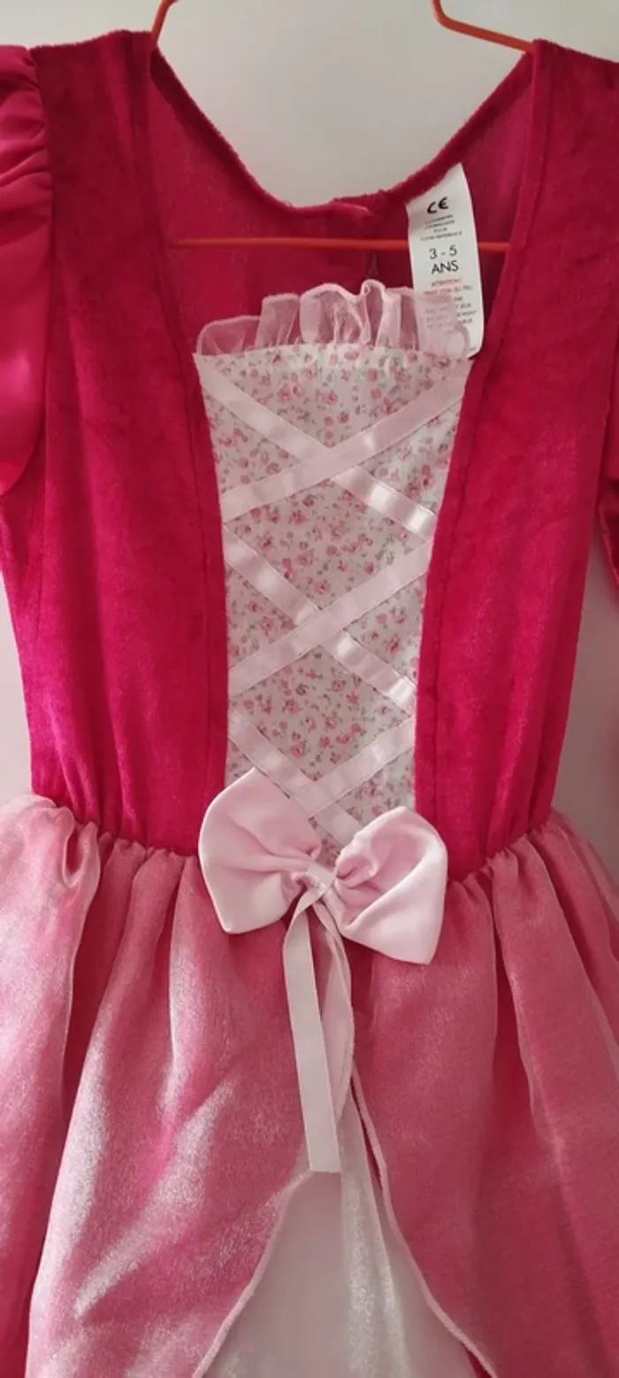 Deguisement Robe de Marquise (ou Princesse) - photo numéro 2
