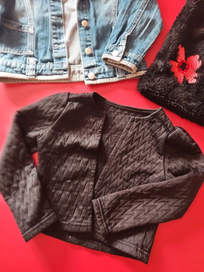 Veste - photo numéro 4