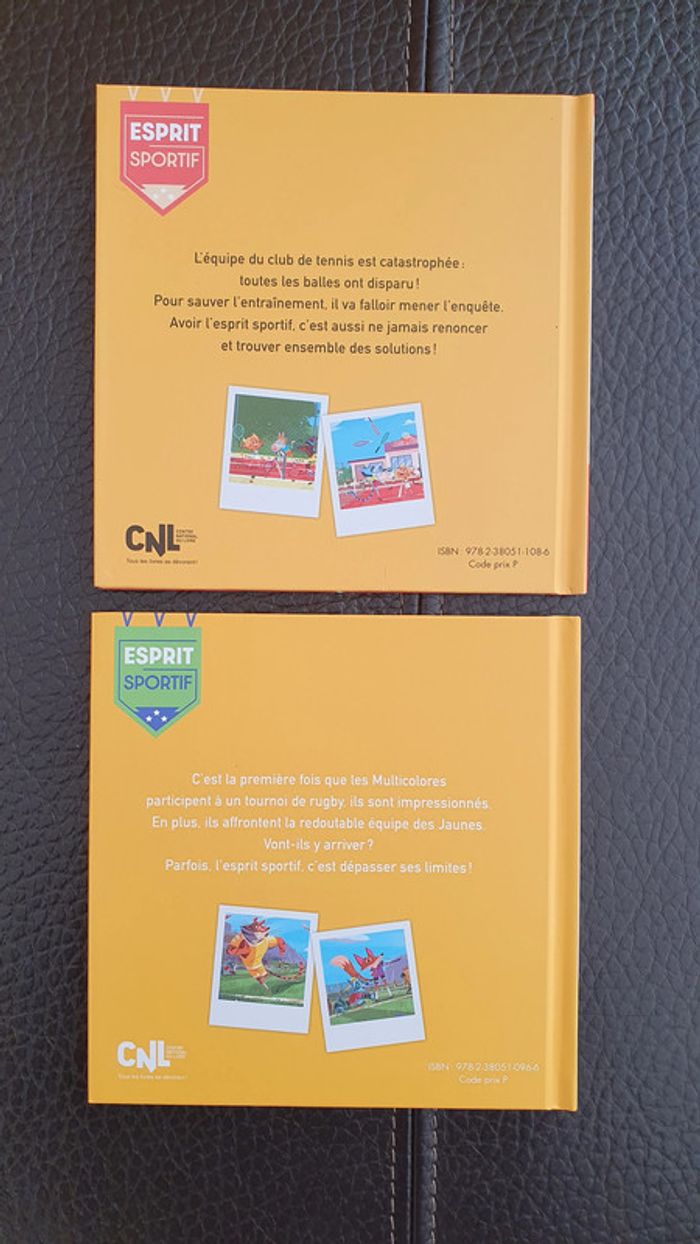 Lot de 2 livres : Le club de tennis et Le Match de Rugby - photo numéro 2